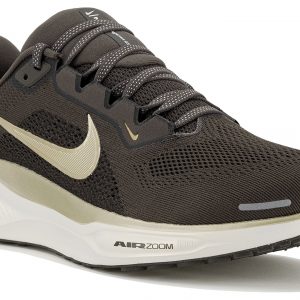 Pegasus 41 JI