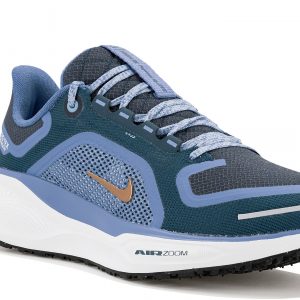 Pegasus 41 Gore-Tex