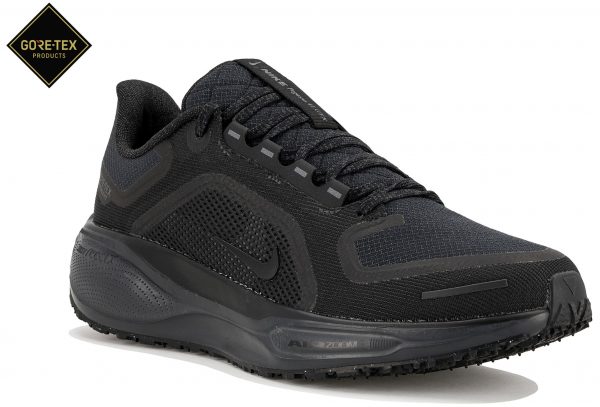 Pegasus 41 Gore-Tex