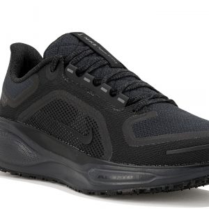 Pegasus 41 Gore-Tex