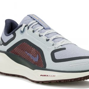 Pegasus 41 Gore-Tex
