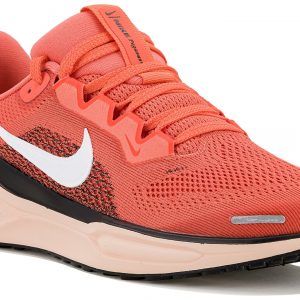 Pegasus 41 Junior