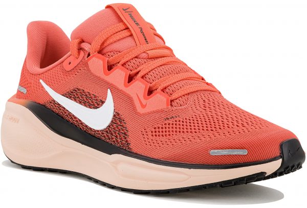 Pegasus 41 Junior