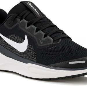 Pegasus 41 Junior