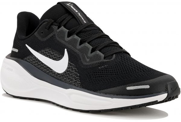 Pegasus 41 Junior