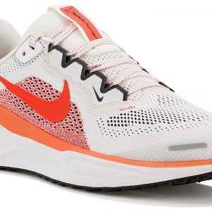 Pegasus 41 Junior