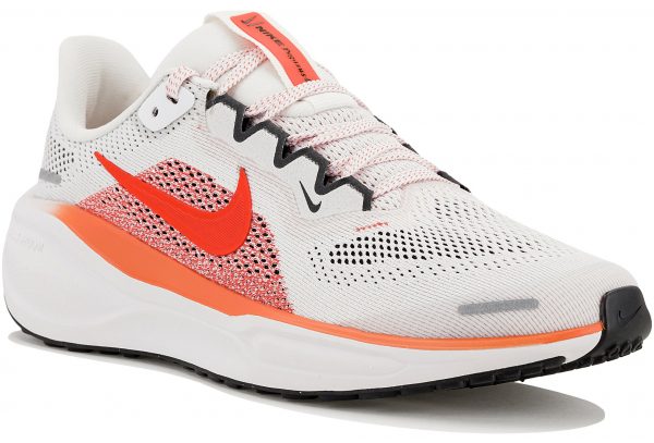 Pegasus 41 Junior