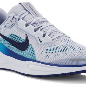Pegasus 41 Junior
