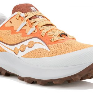 Peregrine 14 W